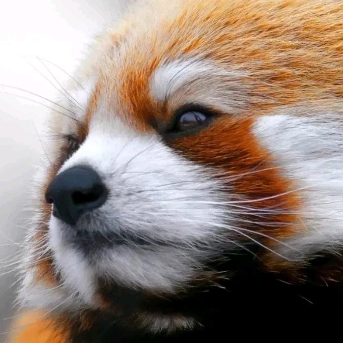 三木丶