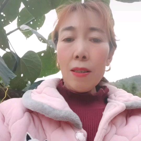 太莲姐姐
