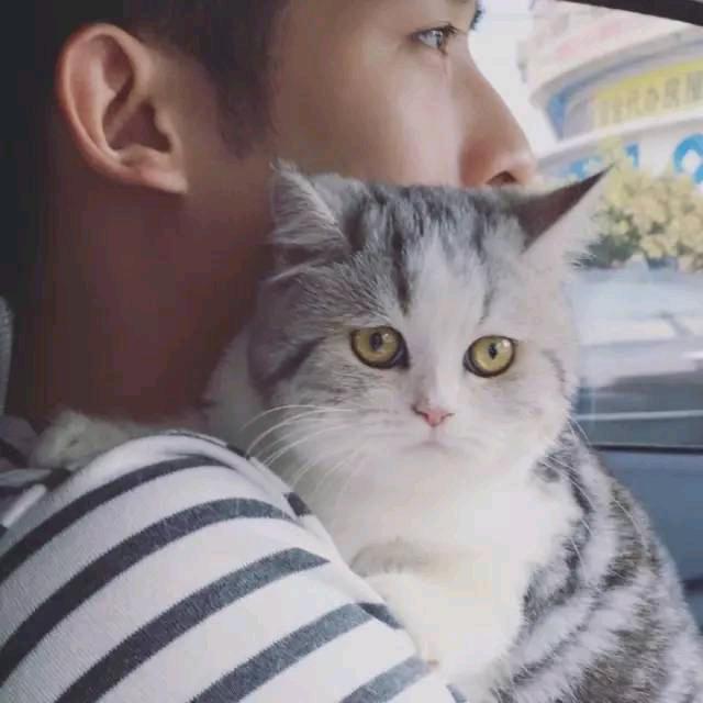 杨集加工被套；魏猛猛精品蚕丝、精品羽绒