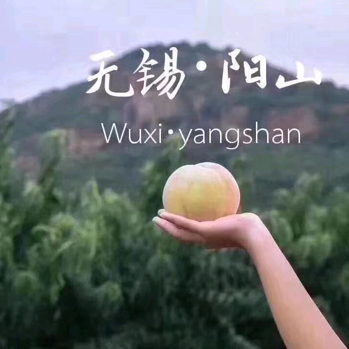 户外～无锡阳山丽丽水蜜桃🍑专业合作社