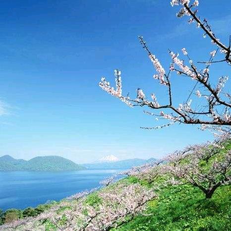阿七