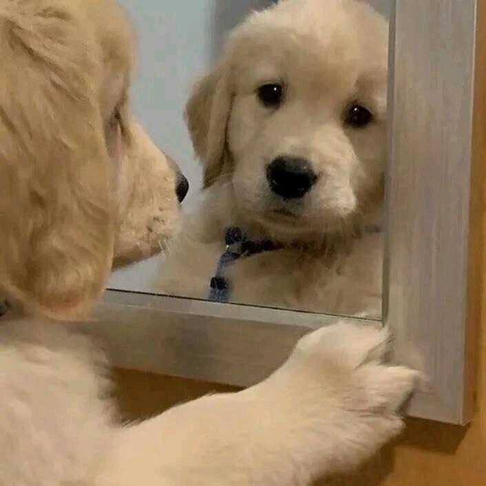 地平线上的曙光