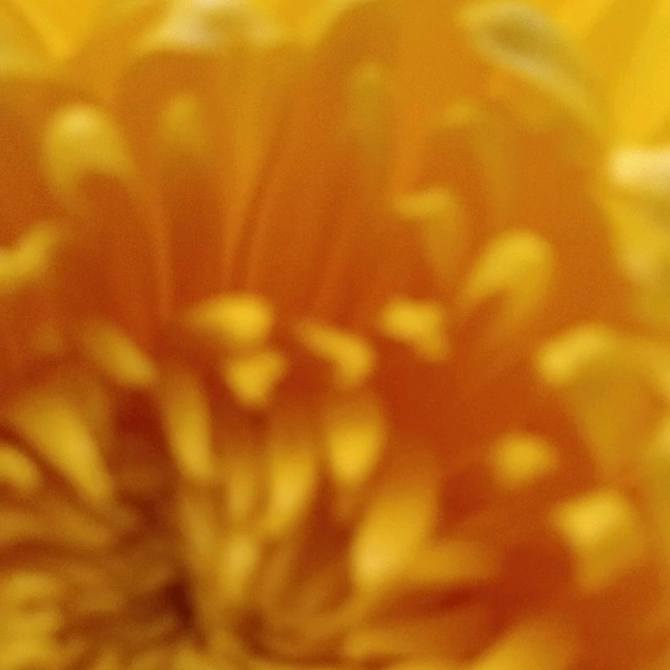 💞ღ᭄陈家ঞ᭄༊菇娘💞