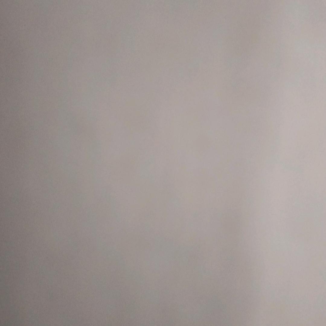 玲姐今生