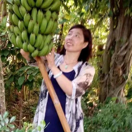 金蜗牛(上9:40)