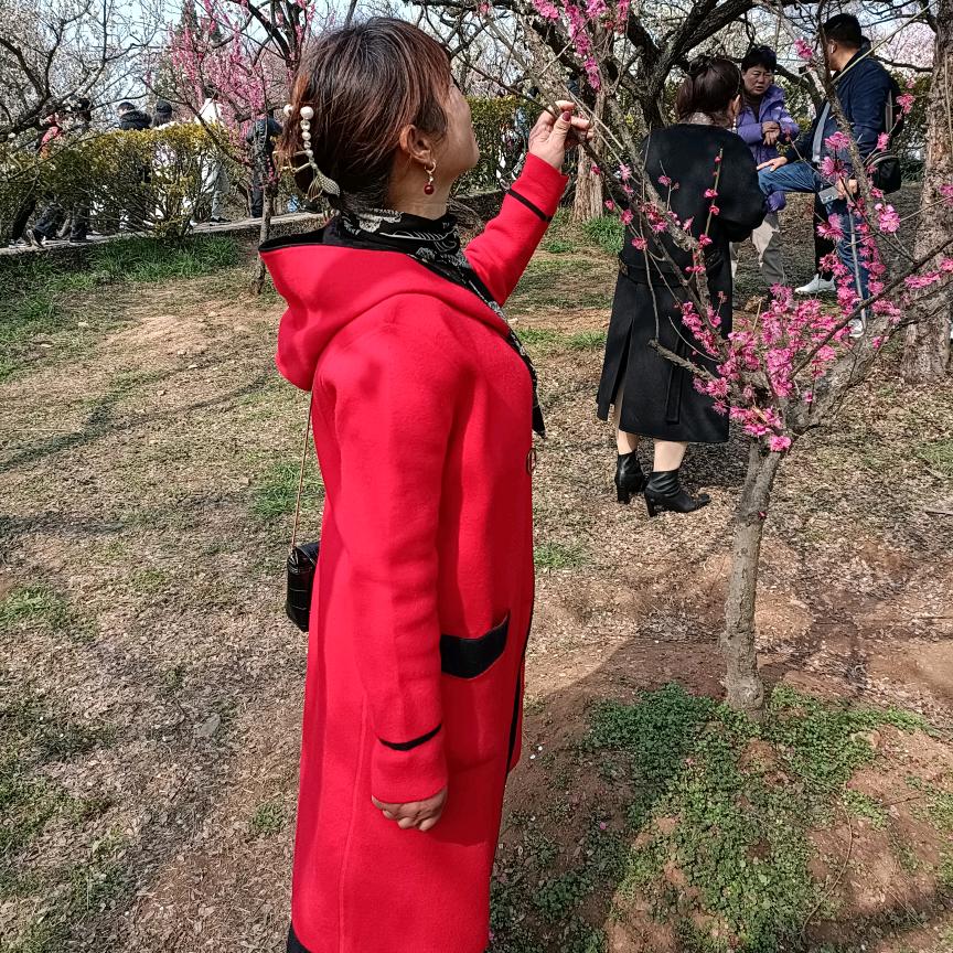 经家二姐