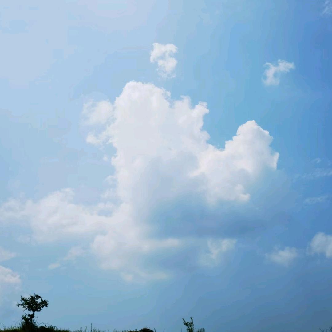惜罇空
