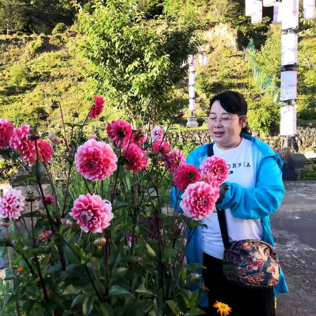 阿莲