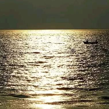 佐岸佑转（拒绝私聊）