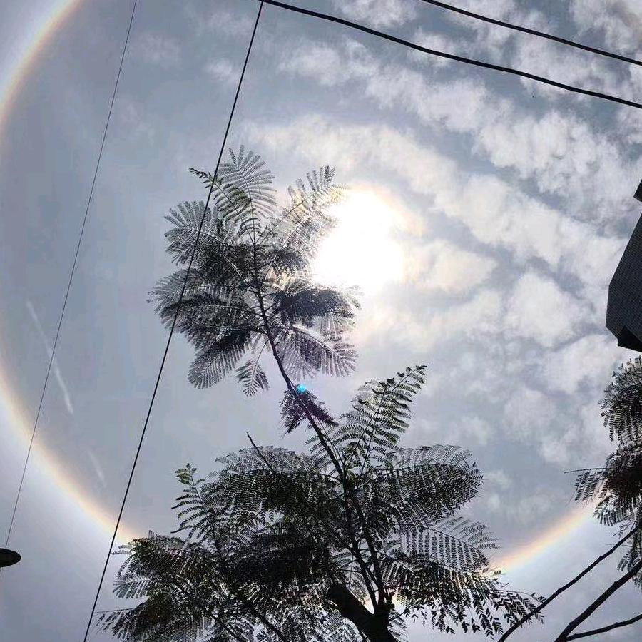 厦门市湖里区白臻美美甲店