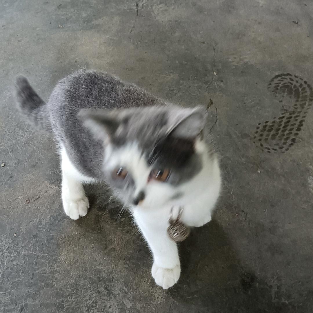 得过且过