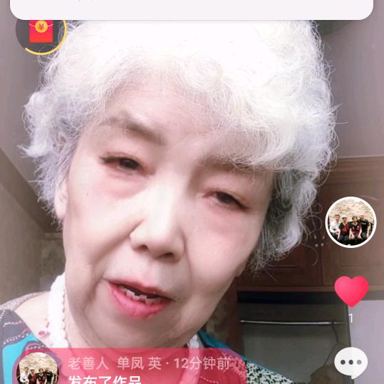 老善人  单凤 英