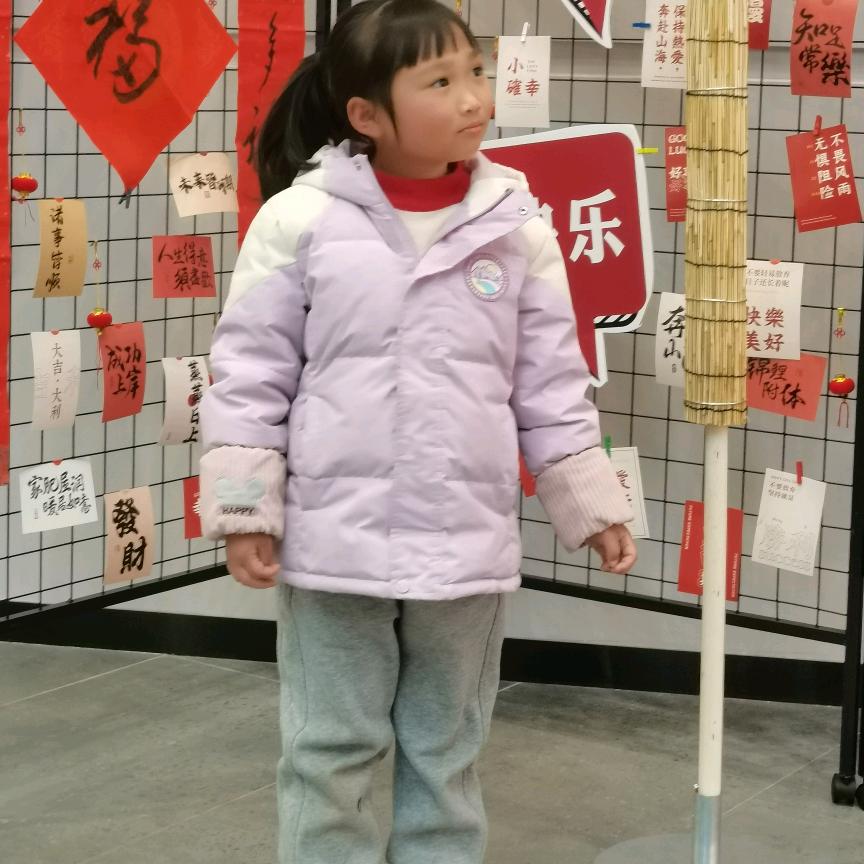 李家二小姐