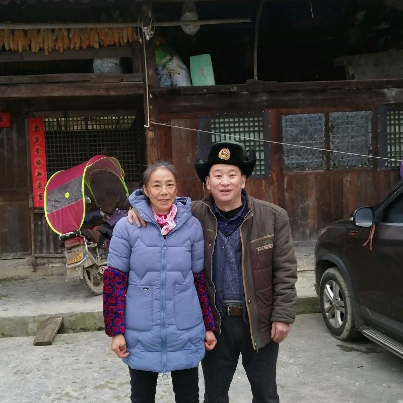 凤凰潘师傅