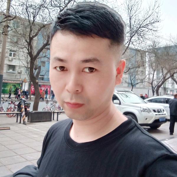流浪的蜂儿