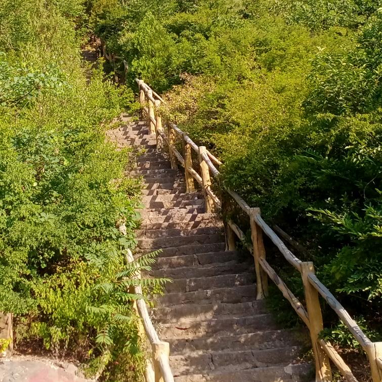 走出山头又能看远方