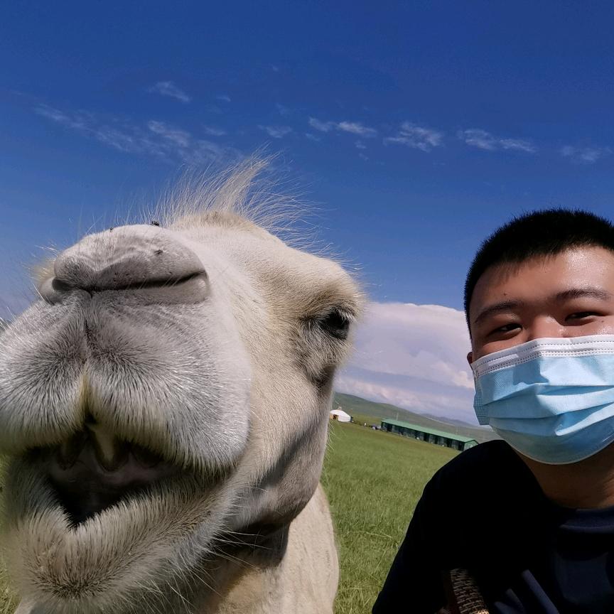 王东阳