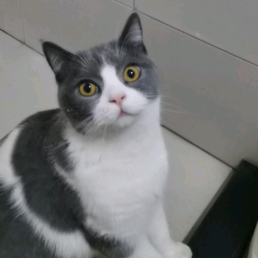feelinglove