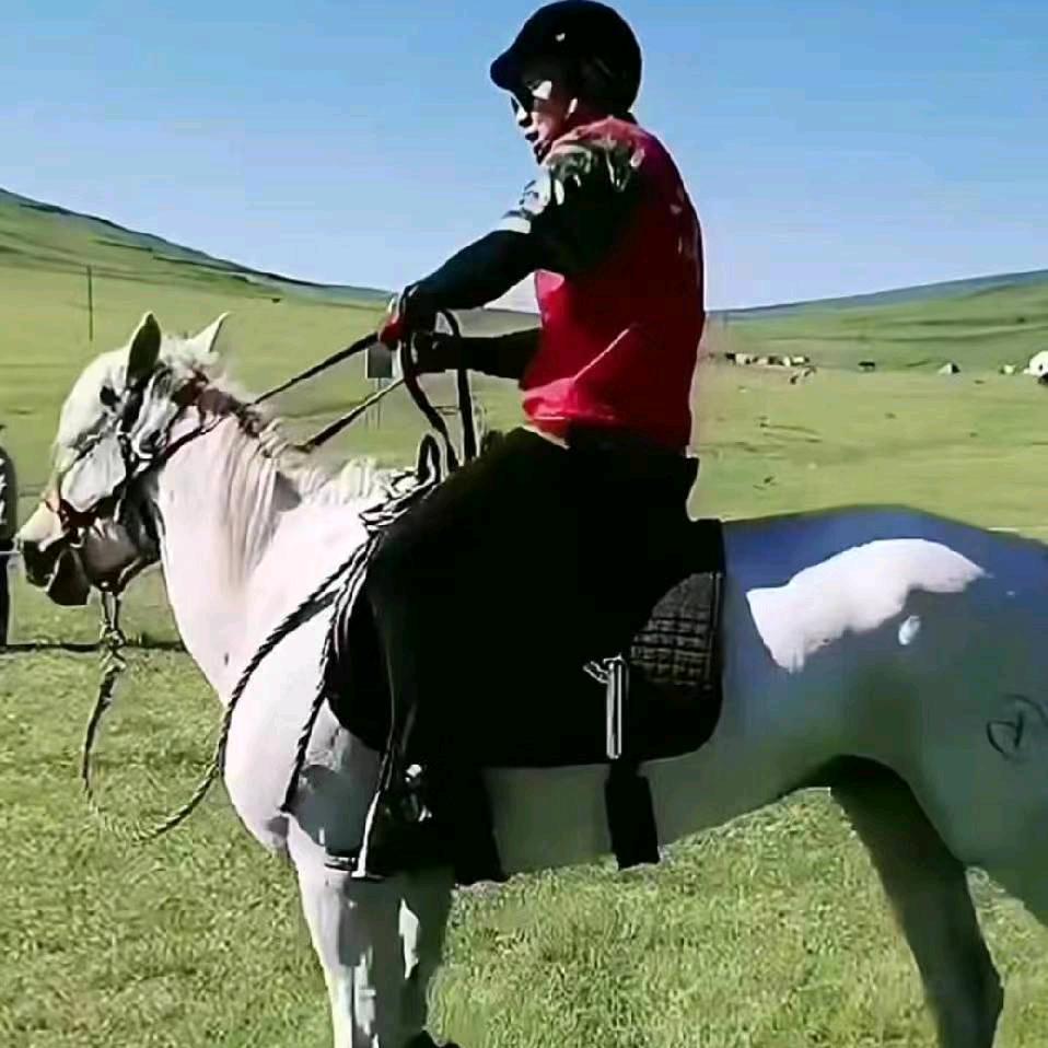 种棚人