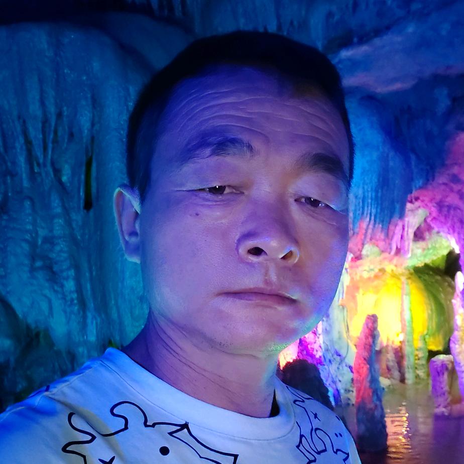 愿得一人心
