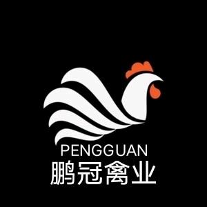 鹏冠禽业‖青年鸡‖