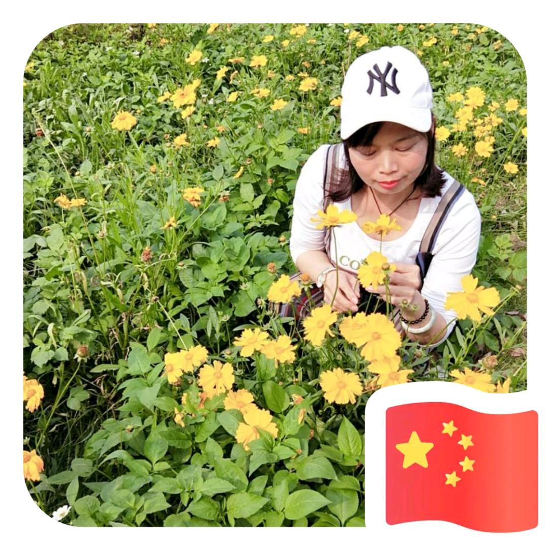 晴 天