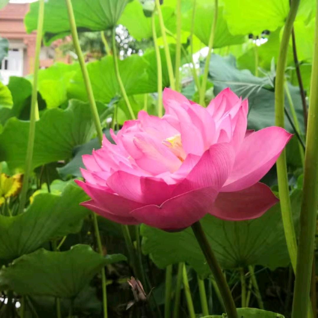 舒仕忠