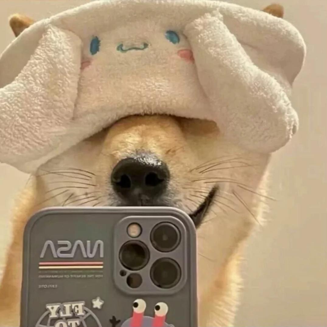 莓煩脑