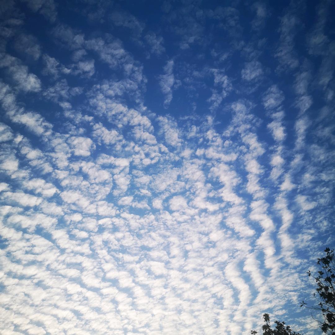 奔赴太空都是缘