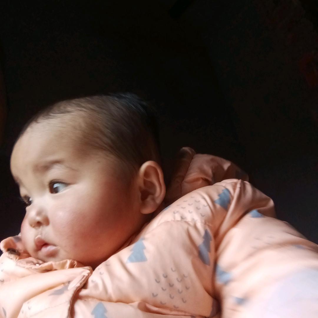 恭喜发财发大财王玉平