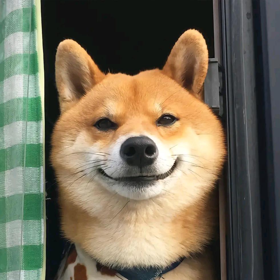狗哥♥