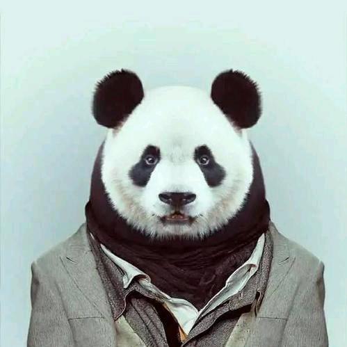 自闲.