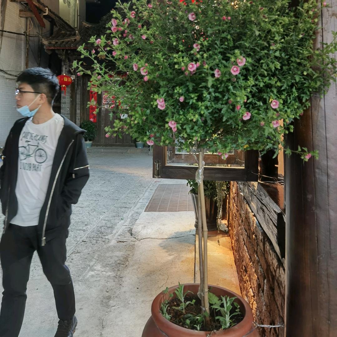 🍂  匆匆、（互关互粉）