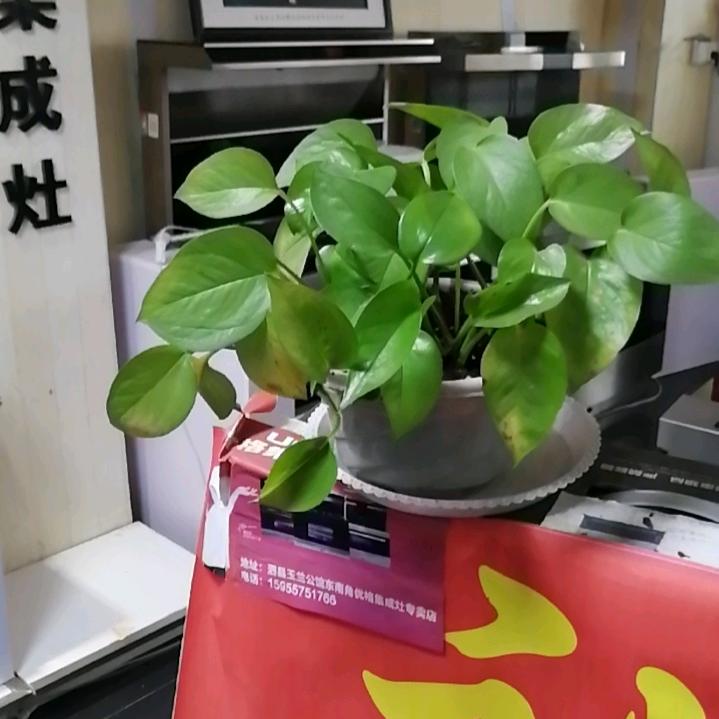 吾心