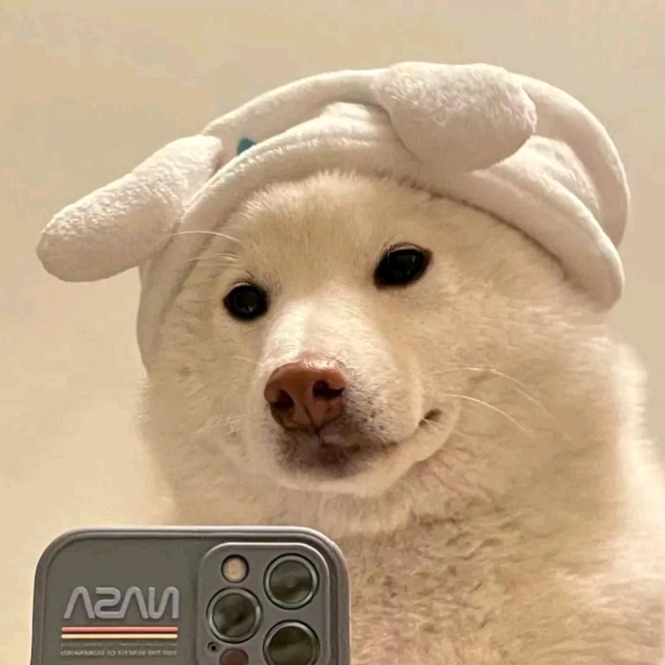 躺平的一生