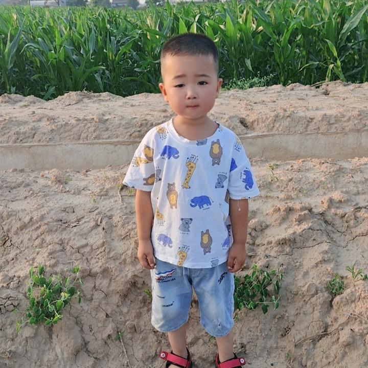 农村养羊人
