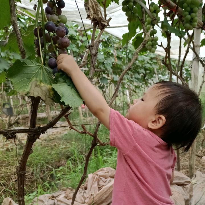 爱我宝贝