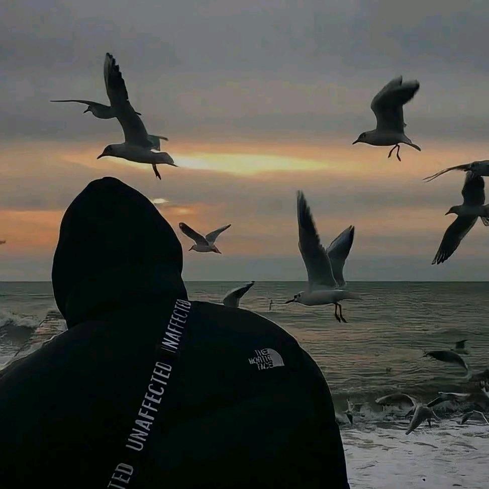 一只没耳朵的🐰