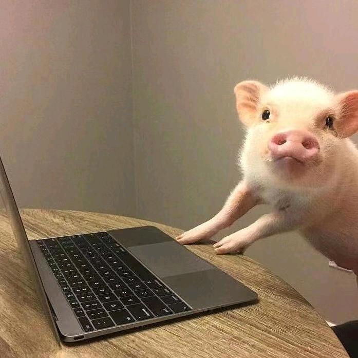 待.