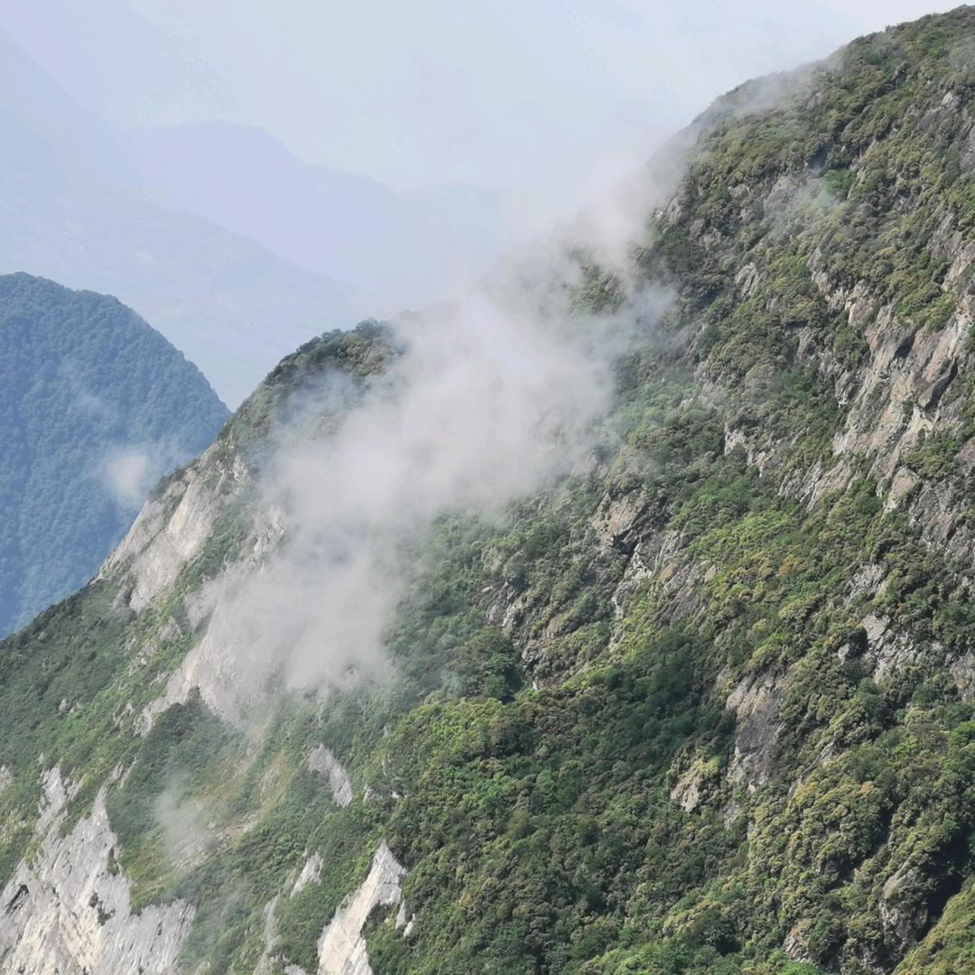 沉寂月光