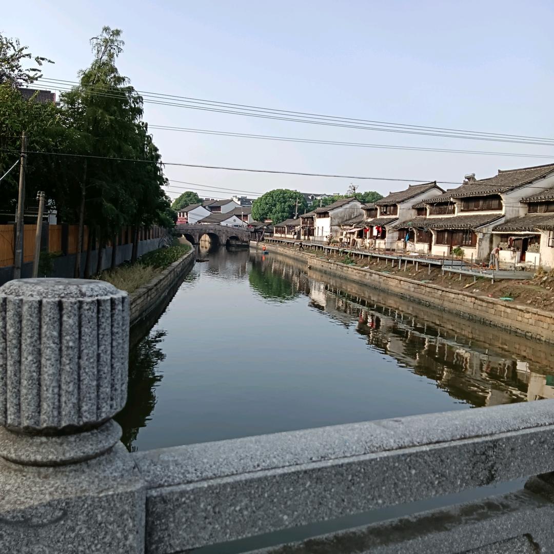 梦想成真🌻