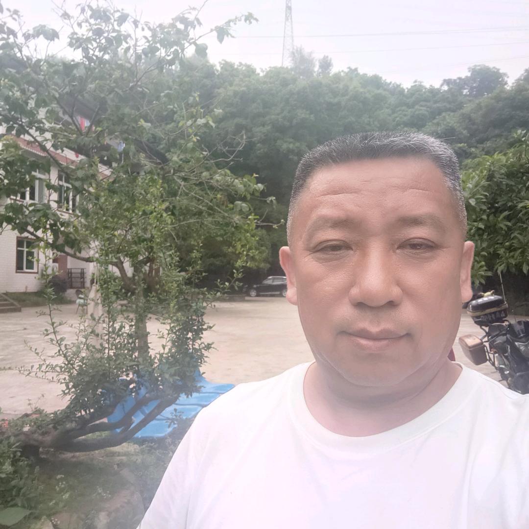 白师傅专业假山制作