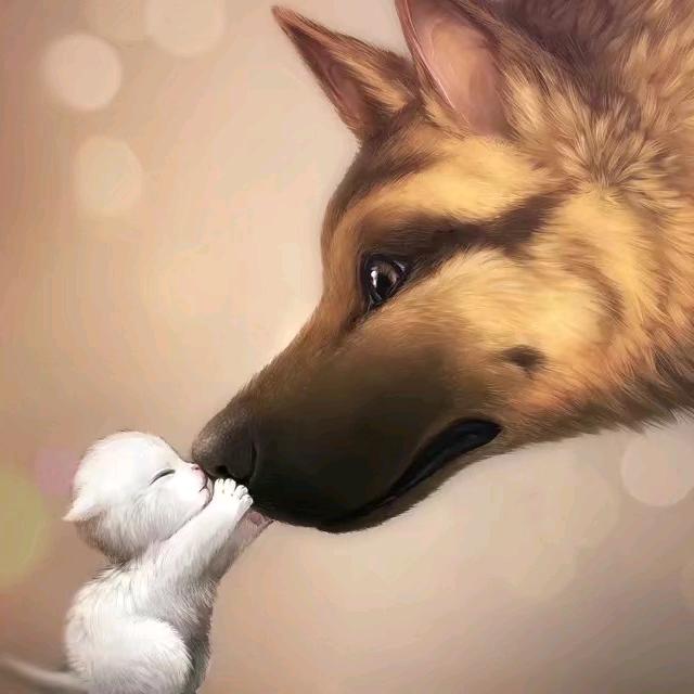 温球ʕ ᵔᴥᵔ ʔ