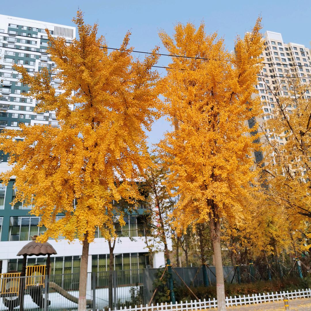 简单🙂快乐