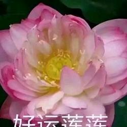 安南