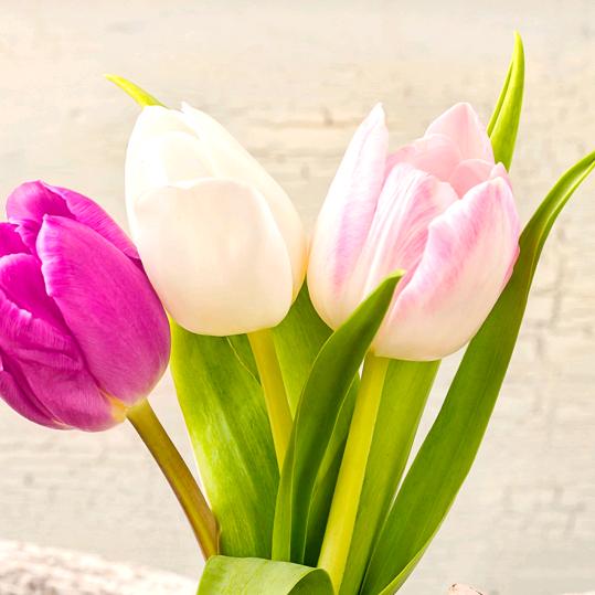 牵挂时时在心❤❤