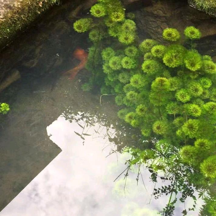 人间正道是沧桑