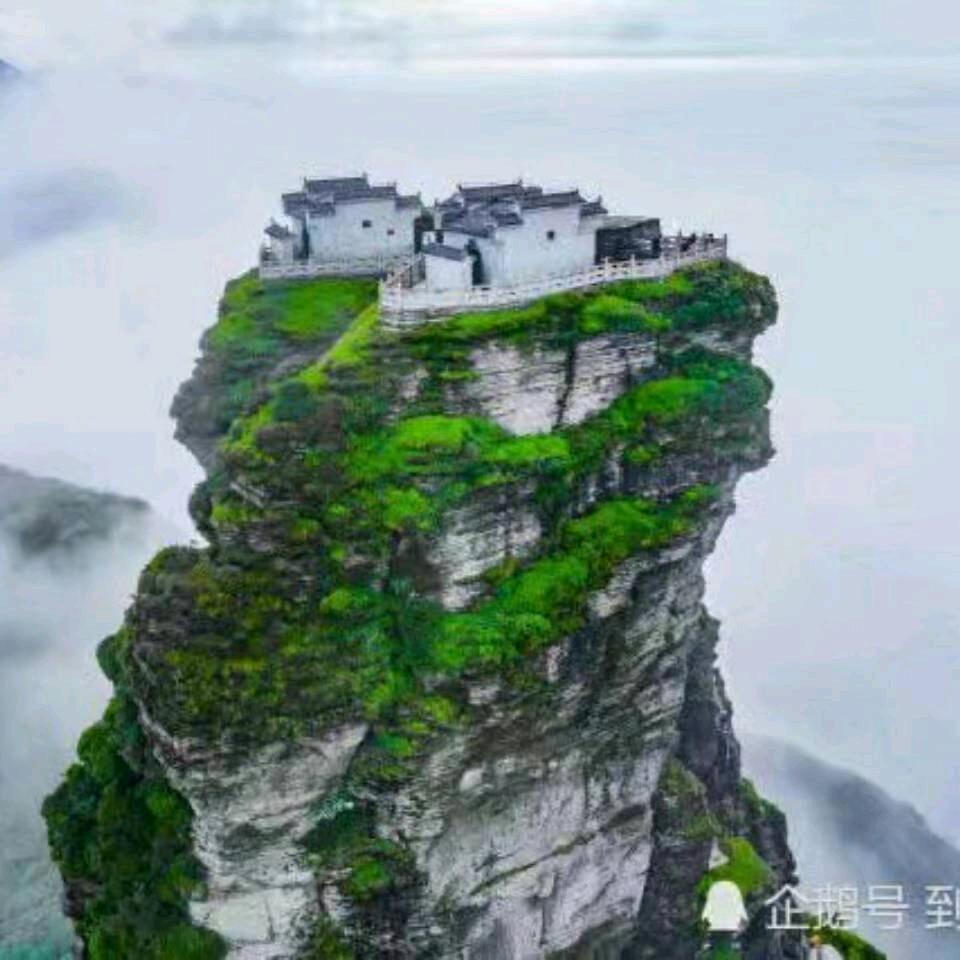 柳暗花明又一春