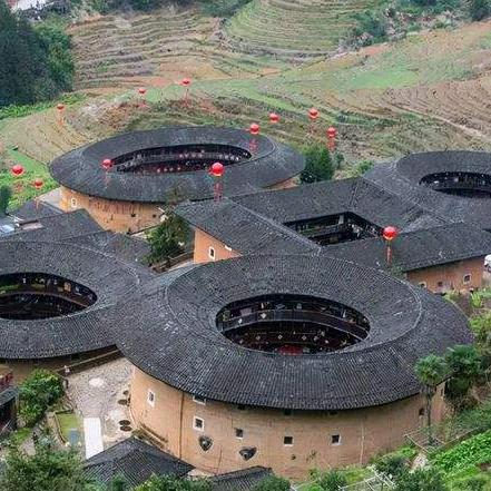 五月龙