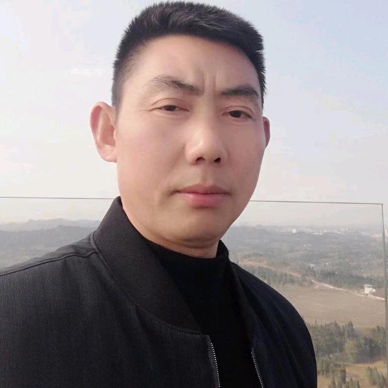 刘金岁月